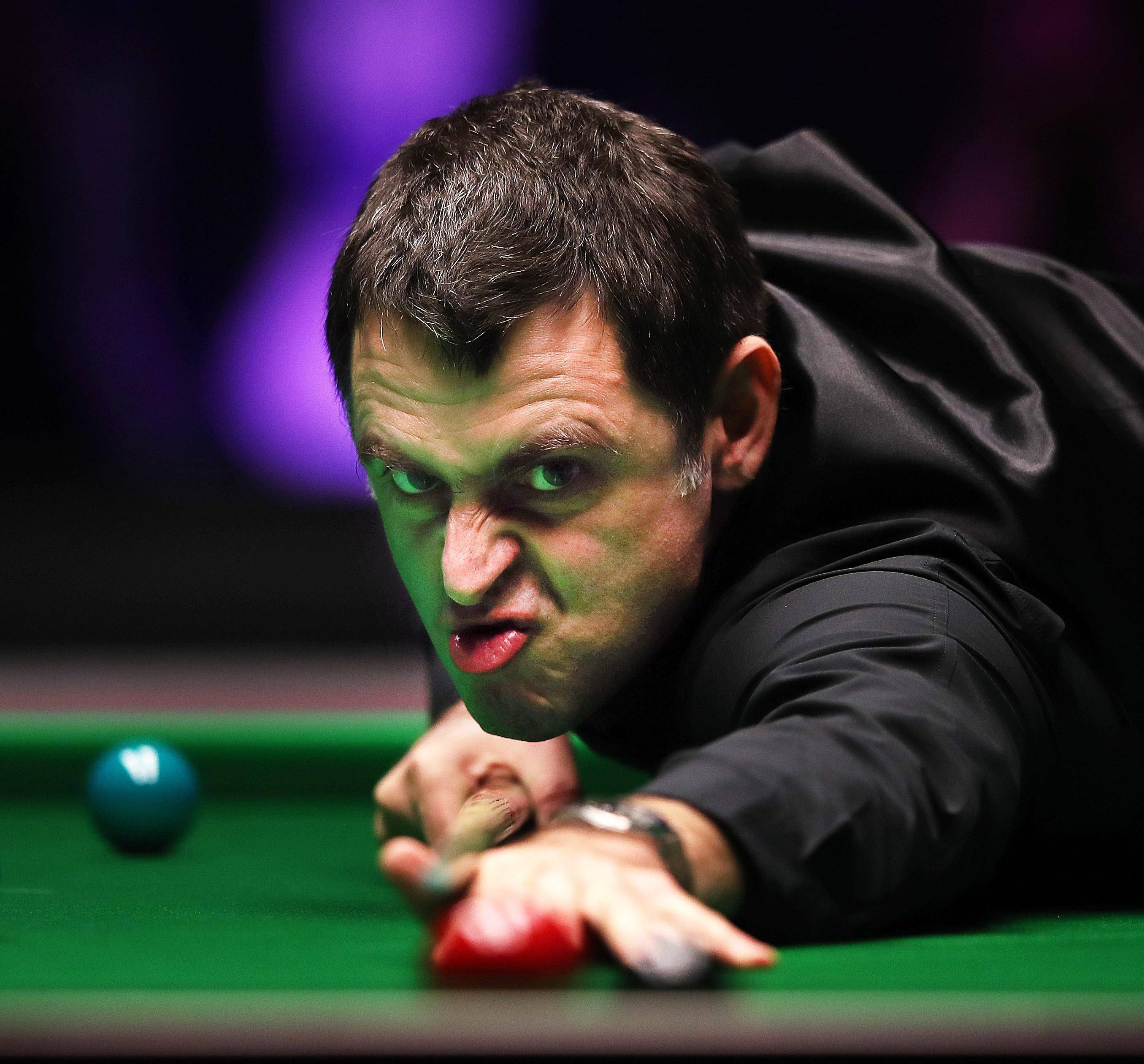 与球迷互动 与球迷互动