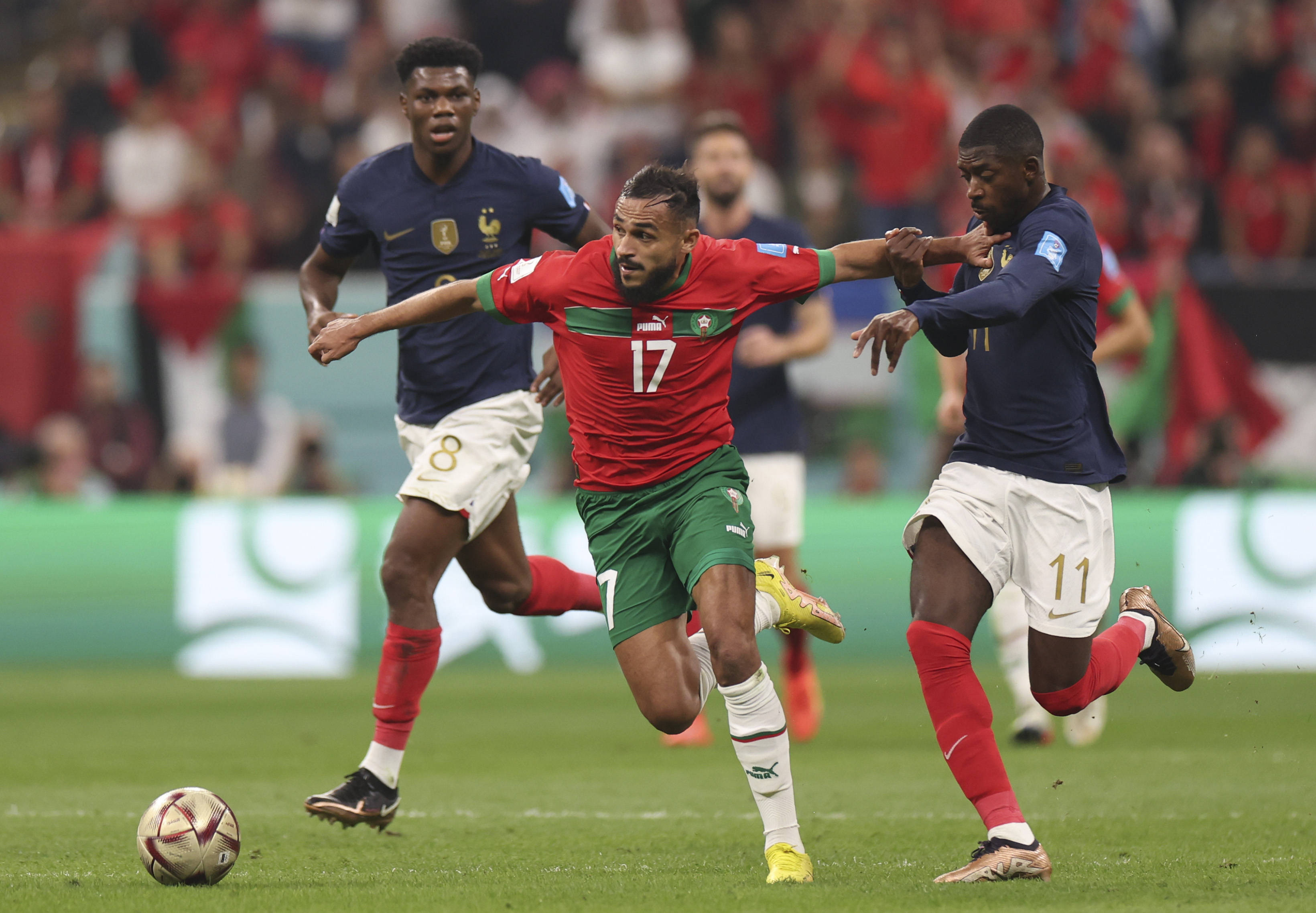 安有机会在 安有机会在